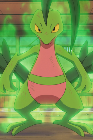File:Ash Grovyle Overgrow.png