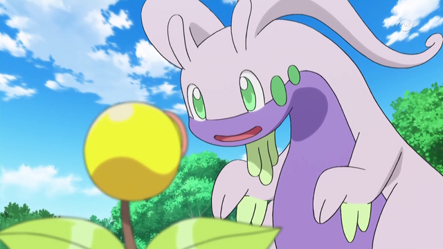 File:XY072 3.png