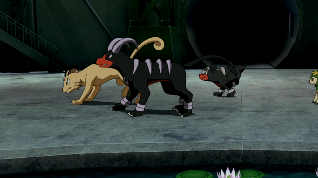 File:Houndoom M16.png