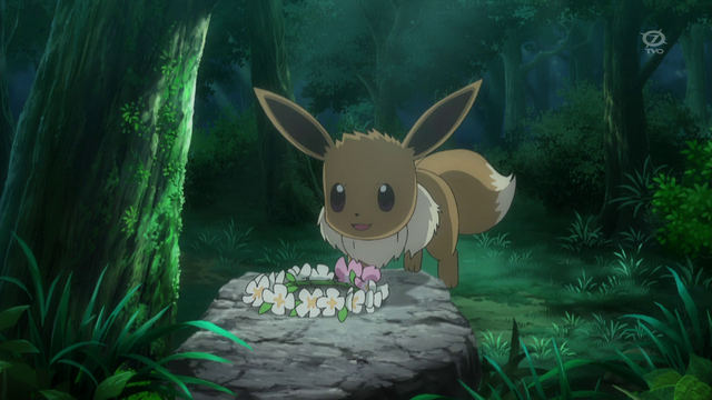 File:XY092 11.png