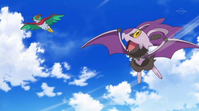 File:XY080 1.png