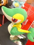 Peluix Tsutaaja