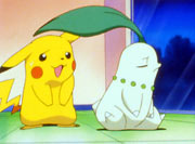 Chikorita&Pikachu.jpg