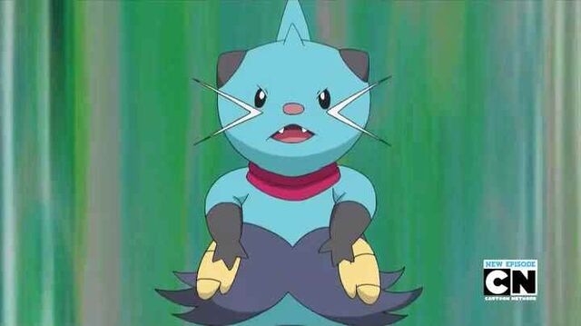File:Halsey's Dewott.jpg
