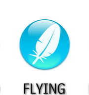 Flying