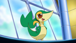 250px-Juniper Snivy