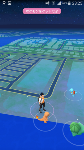 ファイル:Pikaget006.png
