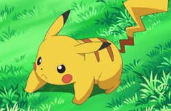Pikachu 9