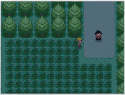 Ruta 2.gif