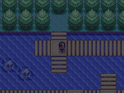 Starter N°13.png