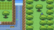 Starter 9.png