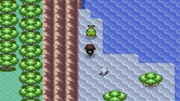 2 starter.png