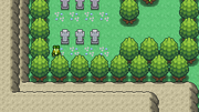 Starter 7.png