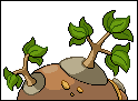 File:Mountree - Back.png