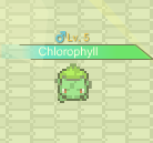 Chlorophyll