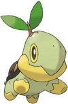 Turtwig2