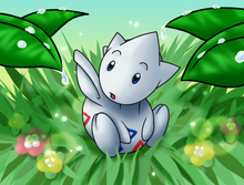 Togetic banner