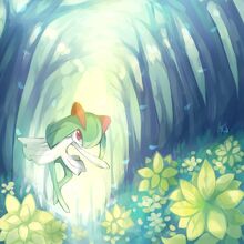 Kirlia banner