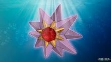 Starmie banner