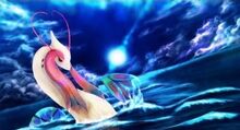 Milotic banner-0