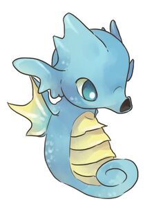 Seadra banner