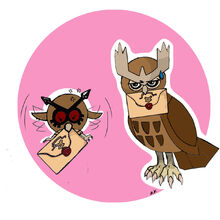Noctowl banner