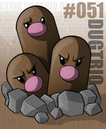 Dugtrio banner