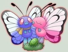 Butterfree banner