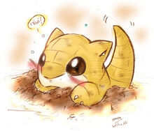 Sandshrew banner