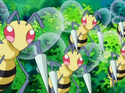 Beedrill DP099