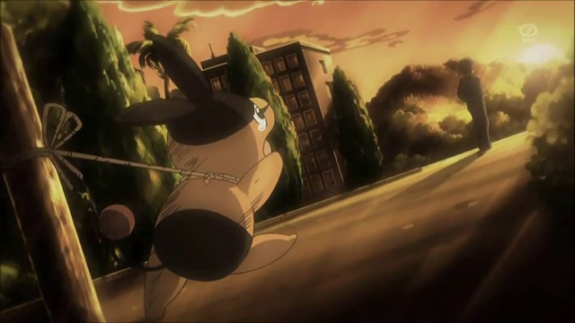 Plik:File-Tepig Release.png