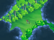 Petalburgwoods