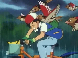 Ash fleeing spearow.png