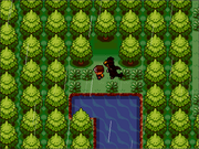 307 Grotto