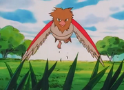 250px-Spearow anime.png