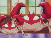 200px-Ash Gary Krabby.png