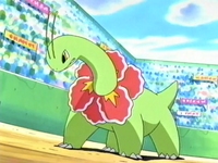 EP270 Meganium de Vincent