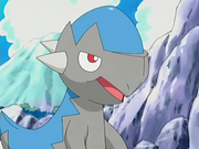 Roark Cranidos
