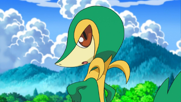 EP677 Snivy de Ash