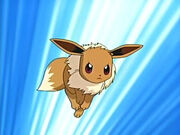 Eevee Skok