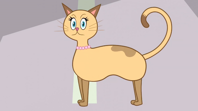 File:ScaredCat.png