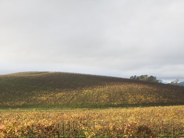 File:Bliss location.jpg