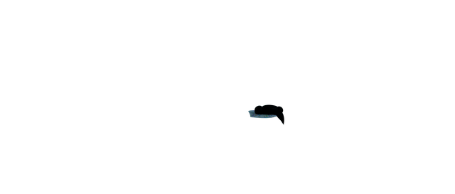 File:Blackrabbitarm2.png