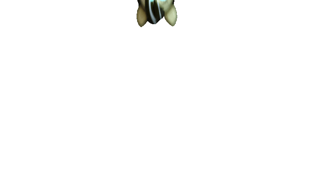File:Sara Jumpscare.gif