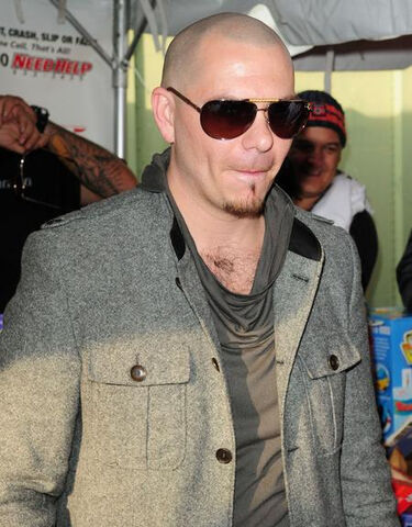 Datei:Pitbull.jpg