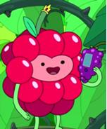 Plik:Kmal2.JPG