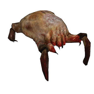 File:Headcrab4tx.jpg