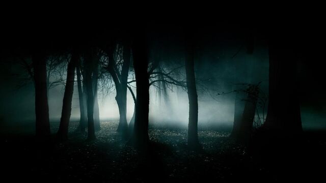 File:Forest.jpg