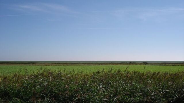 File:Grasslands.jpg