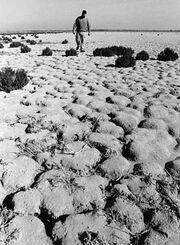 Hondo Spain Drought